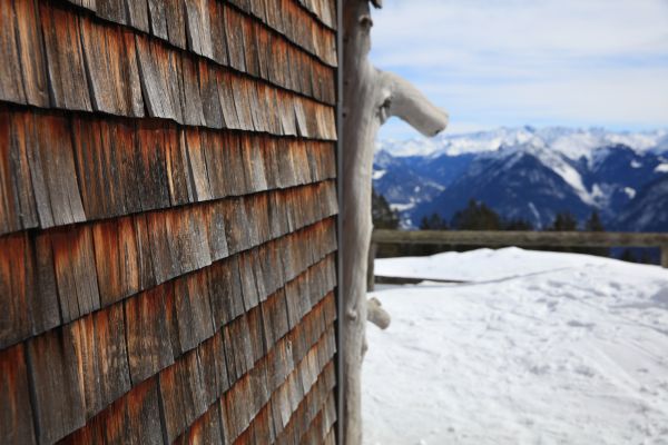 Cedar Siding Repair in Richardson