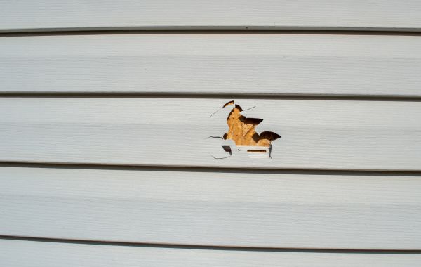 Siding Hole Patching in Richardson