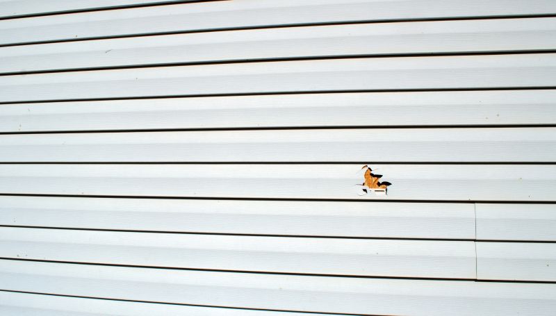 Repair Work on Exterior Siding